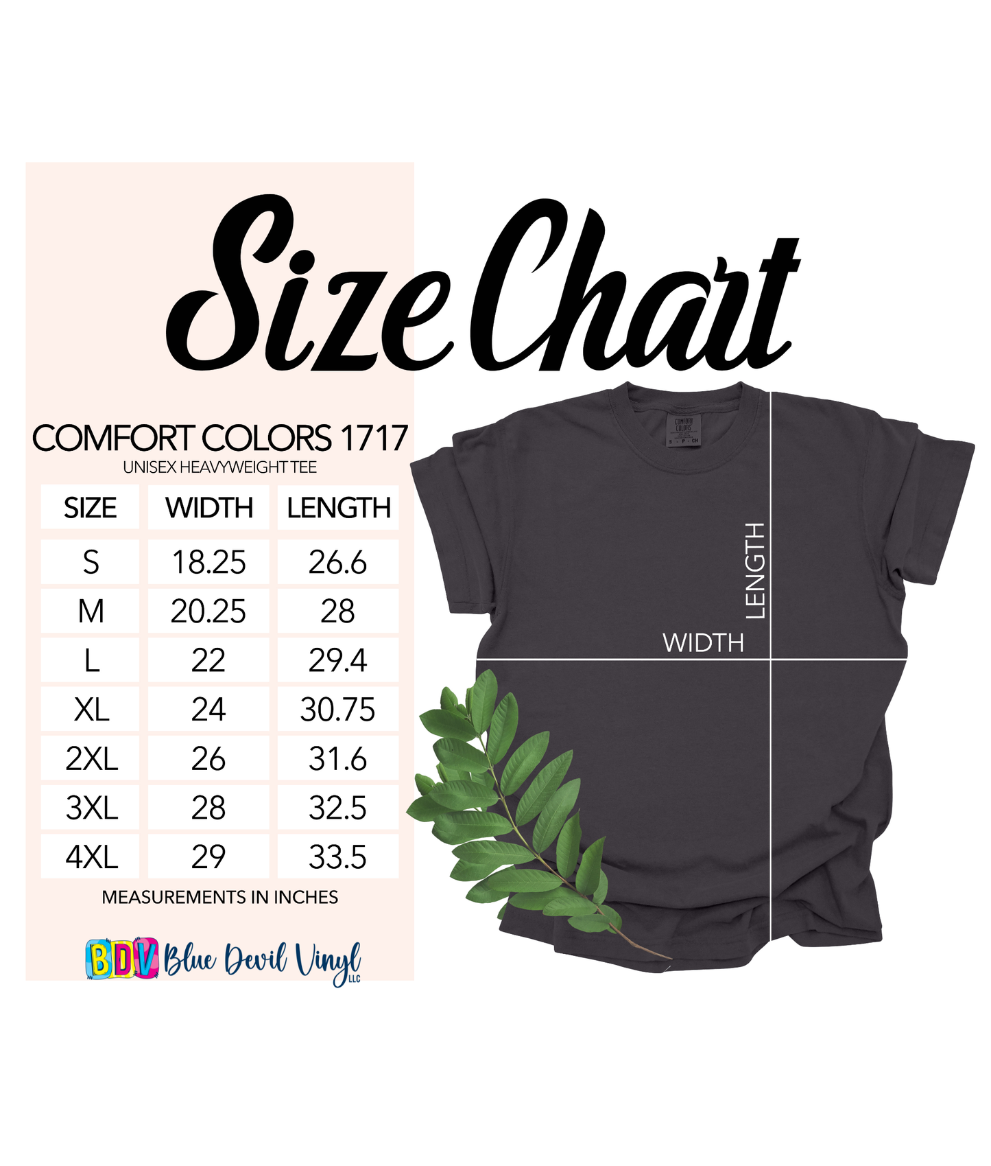 T-shirt of the Month