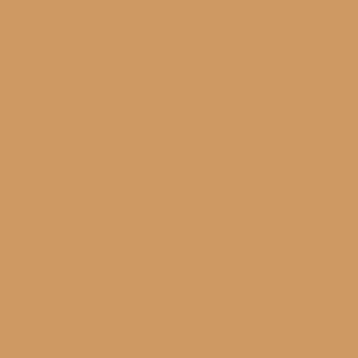 Siser Easyweed® HTV Tan Swatch